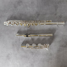 Load image into Gallery viewer, Di Zhao 701