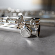 Load image into Gallery viewer, Di Zhao 701