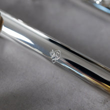 Load image into Gallery viewer, Di Zhao 701