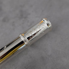 Load image into Gallery viewer, Di Zhao 701