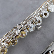 Load image into Gallery viewer, Di Zhao 701