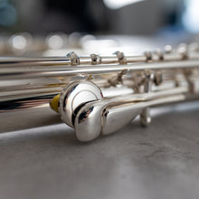 Load image into Gallery viewer, Di Zhao 701