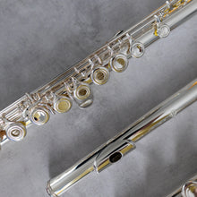 Load image into Gallery viewer, Di Zhao 701