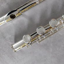 Load image into Gallery viewer, Di Zhao 701