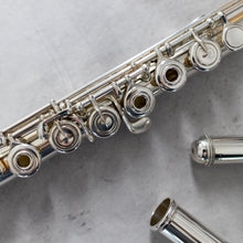 Load image into Gallery viewer, Pre-owned Emanuel ST RBEO #173