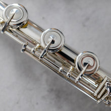 Load image into Gallery viewer, Pre-owned Emanuel ST RBEO #173