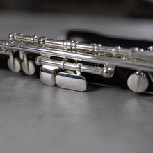 Load image into Gallery viewer, Bulgheroni 401-R Grenadilla Piccolo