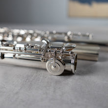 Load image into Gallery viewer, Haynes Q1 RBEO