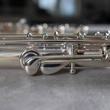 Load image into Gallery viewer, Haynes Q1 RBEO