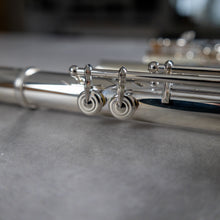 Load image into Gallery viewer, Haynes Q1 RBEO