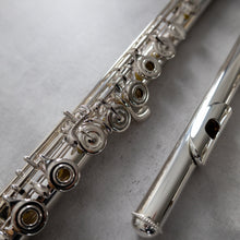 Load image into Gallery viewer, Haynes Q1 RBEO