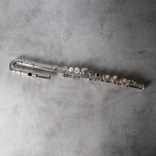 Load image into Gallery viewer, Di Zhao Minidi