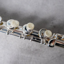 Load image into Gallery viewer, Di Zhao Minidi