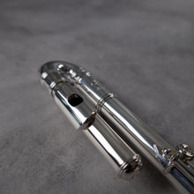 Load image into Gallery viewer, Di Zhao Minidi