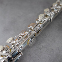 Load image into Gallery viewer, Di Zhao Minidi