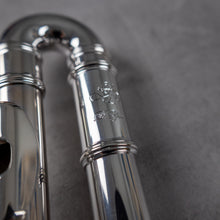 Load image into Gallery viewer, Di Zhao Minidi