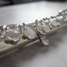 Load image into Gallery viewer, Di Zhao Minidi