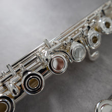 Load image into Gallery viewer, Powell Sonaré PS-601 RBEO