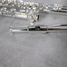 Load image into Gallery viewer, Powell Sonaré PS-601 RBEO