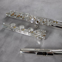 Load image into Gallery viewer, Powell Sonaré PS-601 RBEO