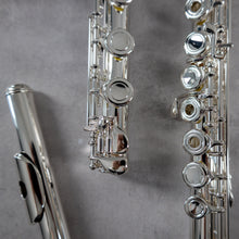 Load image into Gallery viewer, Powell Sonaré PS-601 RBEO