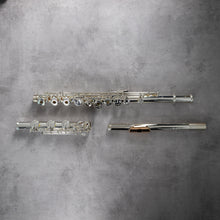 Load image into Gallery viewer, Powell Sonaré PS-705 RBEO Aurumite 9K Lip Plate