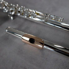 Load image into Gallery viewer, Powell Sonaré PS-705 RBEO Aurumite 9K Lip Plate