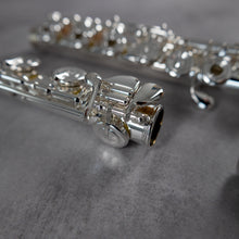 Load image into Gallery viewer, Powell Sonaré PS-705 RBEO Aurumite 9K Lip Plate