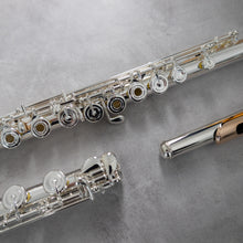 Load image into Gallery viewer, Powell Sonaré PS-705 RBEO Aurumite 9K Lip Plate