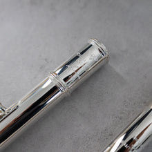 Load image into Gallery viewer, Powell Sonaré PS-705 RBEO Aurumite 9K Lip Plate