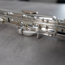 Load image into Gallery viewer, Powell Sonaré PS-705 RBEO Aurumite 9K Lip Plate