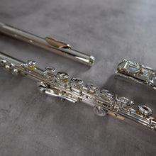 Load image into Gallery viewer, Powell Sonaré PS-705 RBEO Aurumite 9K Lip Plate