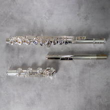 Lataa kuva Galleria-katseluun, Azumi AZ Z1 RBEO