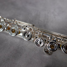 Lataa kuva Galleria-katseluun, Azumi AZ Z1 RBEO