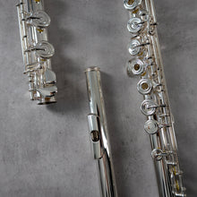 Lataa kuva Galleria-katseluun, Azumi AZ Z1 RBEO