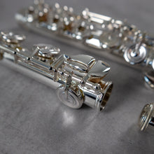 Load image into Gallery viewer, Azumi AZ Z3 E RCEO