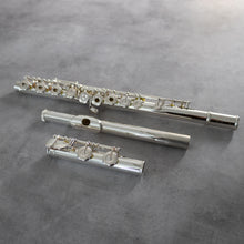 Load image into Gallery viewer, Muramatsu GX III RCEO