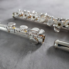 Load image into Gallery viewer, Tomasi TFL-07GR