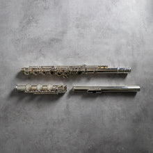 Load image into Gallery viewer, Powell Sonaré PS-501