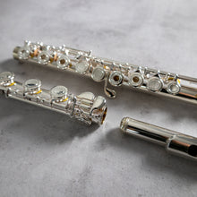 Load image into Gallery viewer, Powell Sonaré PS-501