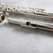 Load image into Gallery viewer, Powell Sonaré PS-501