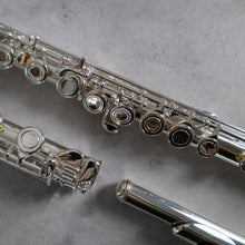 Load image into Gallery viewer, Powell Sonaré PS-501