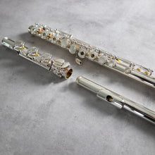 Load image into Gallery viewer, Powell Sonaré PS-501