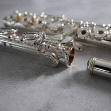 Load image into Gallery viewer, Powell Sonaré PS-501