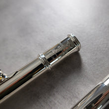 Load image into Gallery viewer, Powell Sonaré PS-501