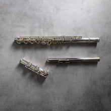 Load image into Gallery viewer, Powell Sonaré PS-505