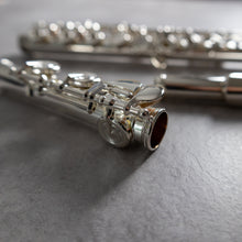 Load image into Gallery viewer, Powell Sonaré PS-505