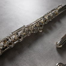 Load image into Gallery viewer, Powell Sonaré PS-505