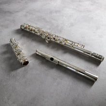 Load image into Gallery viewer, Powell Sonaré PS-505