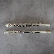 Load image into Gallery viewer, Di Zhao 100 Debut with straight and curved headjoint